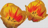 Red - Yellow Tulips PDF