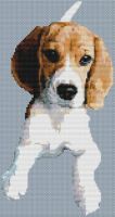 Young Beagle PDF