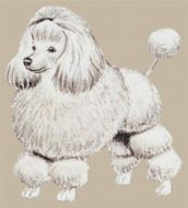 Poodle - full body PDF