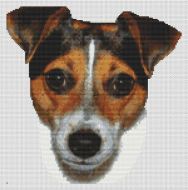 Tri-color Jack Russell Terrier PDF