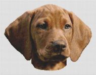 Vizsla Puppy PDF