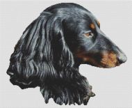 Thoughtful - Dachshund PDF