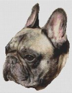 Brindle French Bulldog PDF