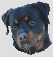 Rottweiler Serenity PDF