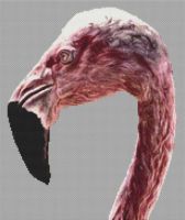 Flamingo 2 PDF