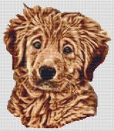 Wet - Golden Retriever Pup PDF