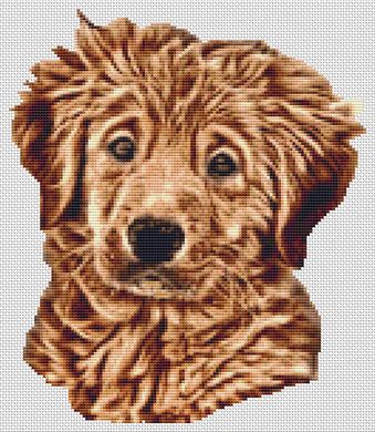 Wet - Golden Retriever Pup PDF