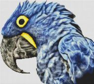Blue Parrot 2 PDF