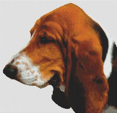 Tri-Color Basset Hound PDF