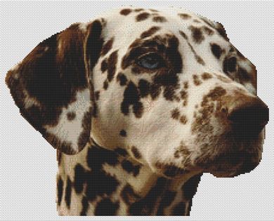 Liver Dalmatian PDF