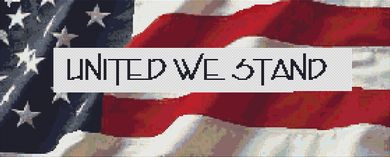 United We Stand PDF