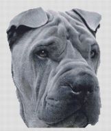 Blue Shar Pei PDF