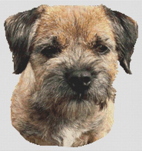 Border Terrier 2 PDF