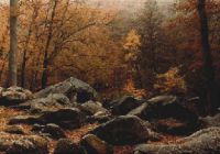 Autumn Forest PDF