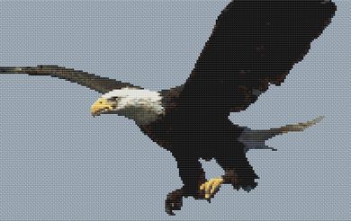 Bald Eagle 2 PDF