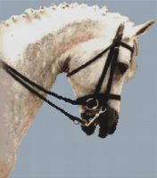 Dressage Horse PDF