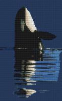 Killer Whale PDF