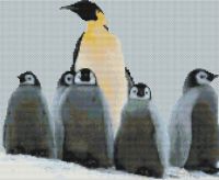 Penguin Family PDF