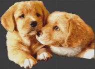 Puppy Love PDF
