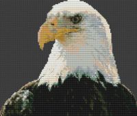 Regal Bald Eagle PDF