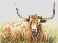 Texas Longhorn PDF