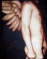 Antique Wings PDF