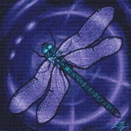 Dragonfly PDF