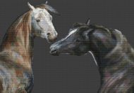 Pair of Arabians PDF