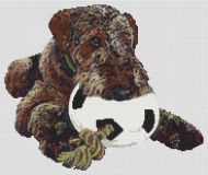 My Ball -Airedale PDF