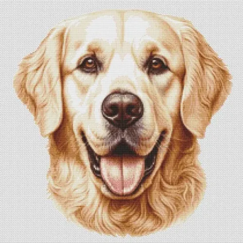Golden Retriever Smile