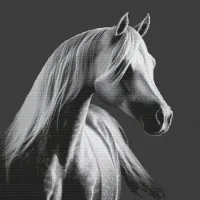 Grey Arabian
