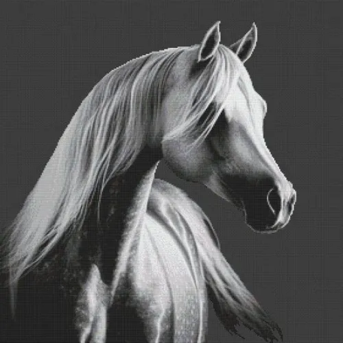Grey Arabian