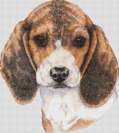 Beagle Baby PDF
