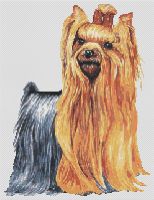 Long Haired Yorkie PDF