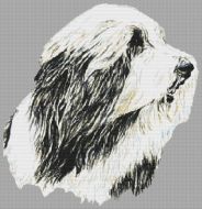 In Motion - Bearded Collie PDF