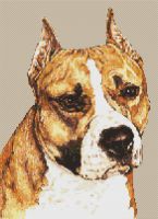 American Staffordshire Terrier PDF