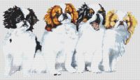 Japanese Chin Puppies PDF