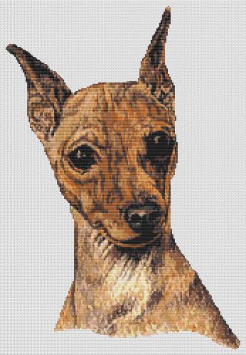 Red Min Pin PDF