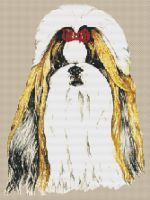 Sable Shih Tzu PDF