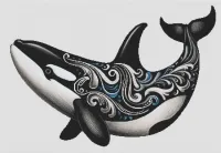Killer Whale - Orca 2