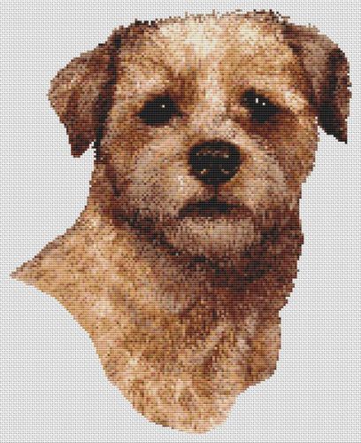 Red Border Terrier PDF