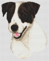 Black and White Jack Russell Terrier PDF