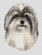 Silver and White Havanese PDF