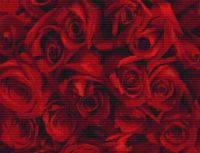 Regal Roses PDF