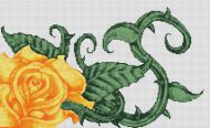 Yellow Rose PDF