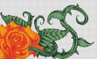 Orange Rose PDF