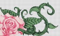 Pink Rose PDF