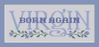 Born Again Virgin PDF