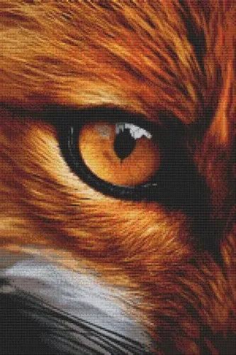 Through the Eye - Fox