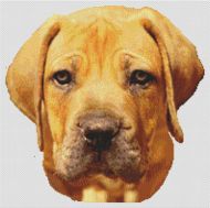 Boerboel PDF